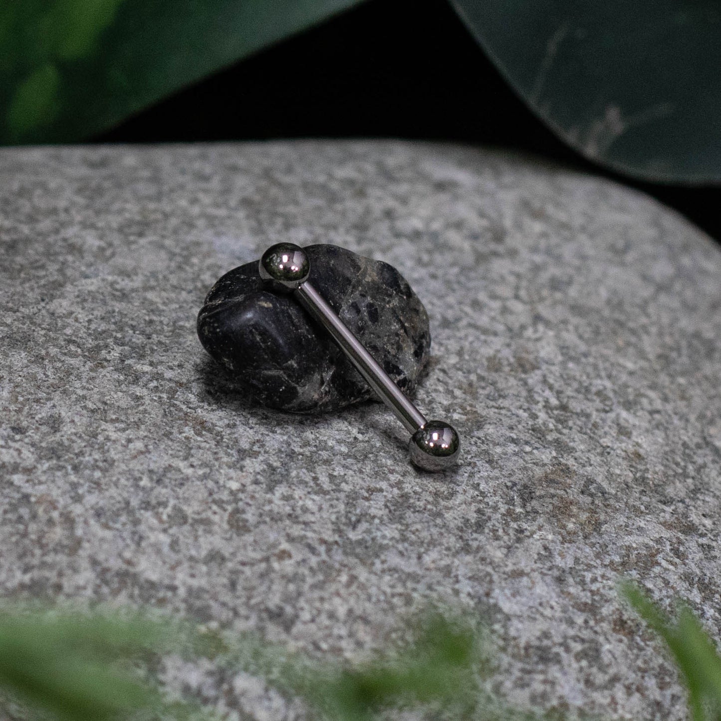 14ga Titanium Tongue // Nipple Barbells