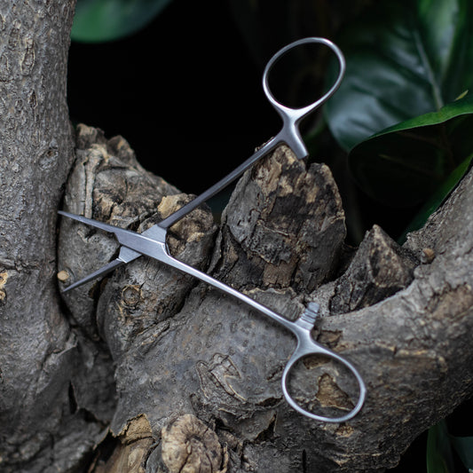 5" Silver Hemostat jewelry change tool on display